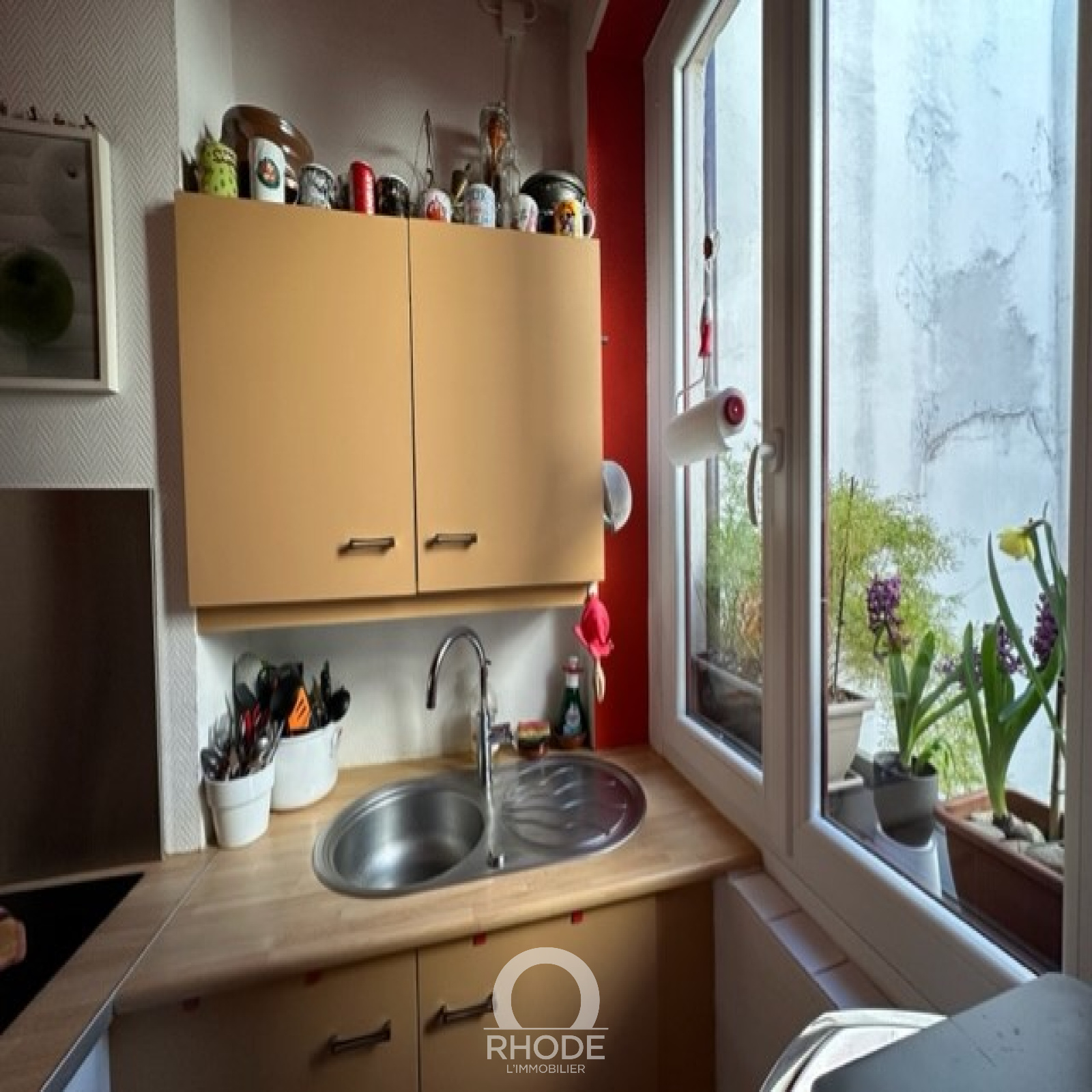 Image_6, Duplex, Lyon, ref :456