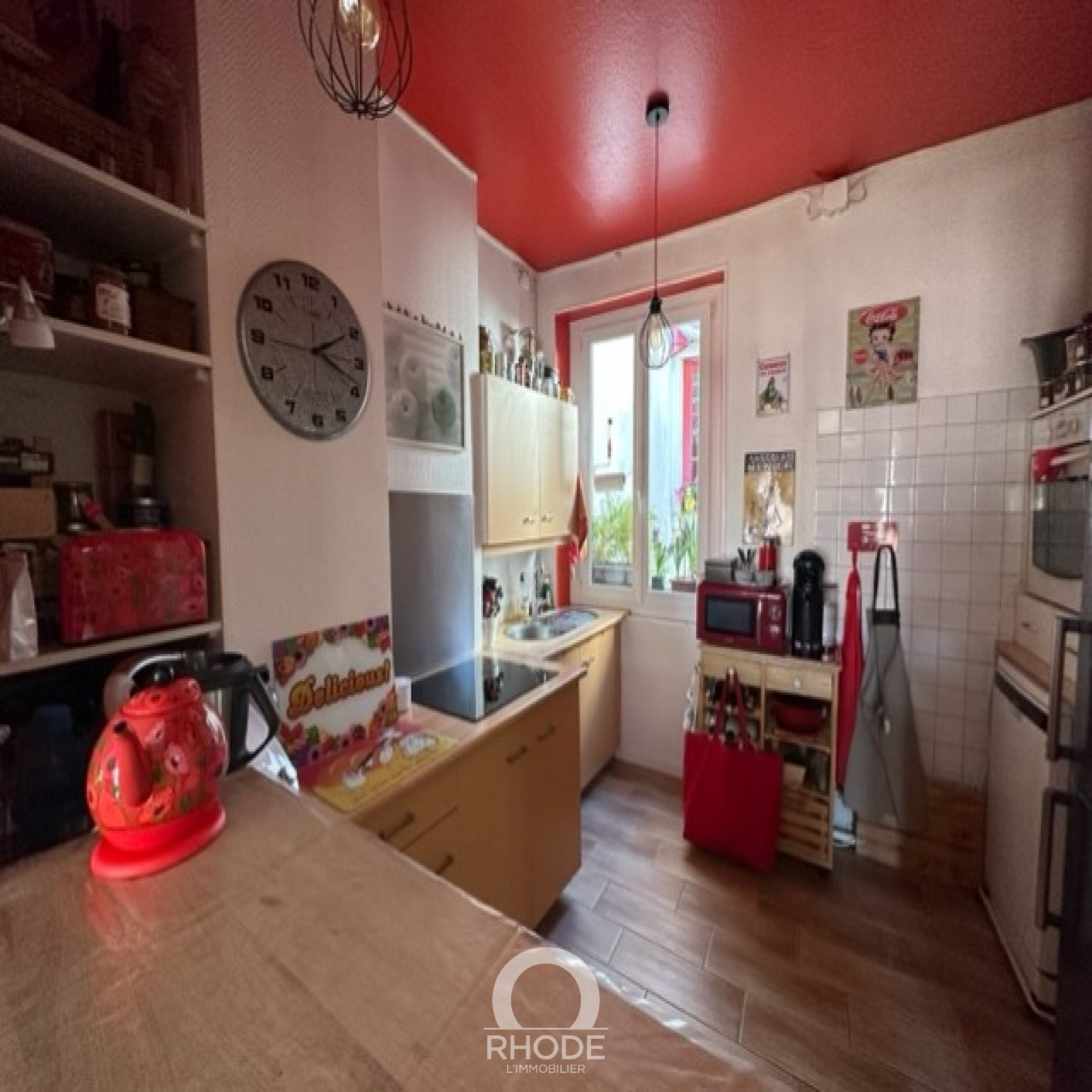 Image_5, Duplex, Lyon, ref :456